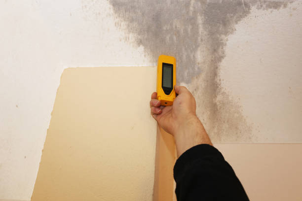 Best Post-Remediation Verification Testing  in Redwood Falls, MN