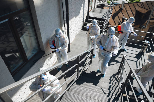 Forensic Mold Investigation in Redwood Falls, MN