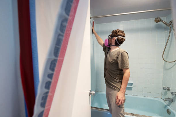Best Water Damage & Mold Remediation  in Redwood Falls, MN