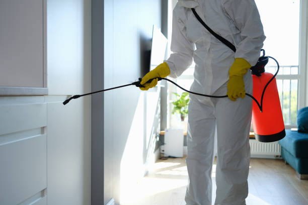 Biohazard Mold Removal in Redwood Falls, MN