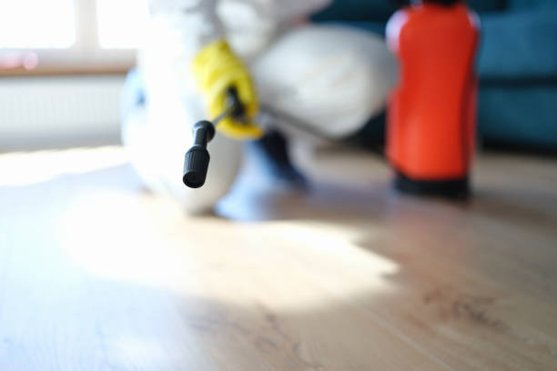 Best Mold Damage Restoration  in Redwood Falls, MN