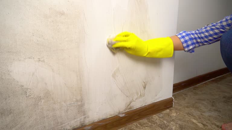 Best Industrial Mold Remediation  in Redwood Falls, MN