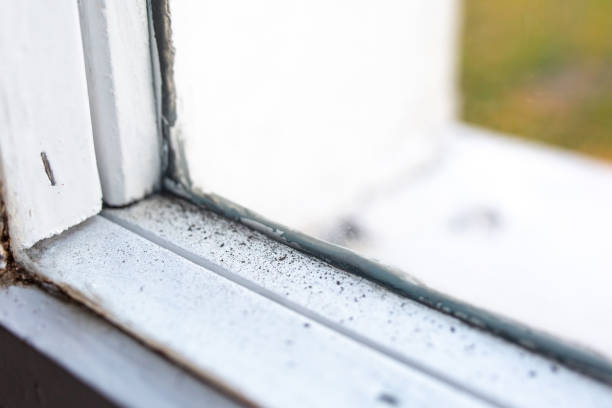 Best Comprehensive Air Testing for Mold Contaminants  in Redwood Falls, MN