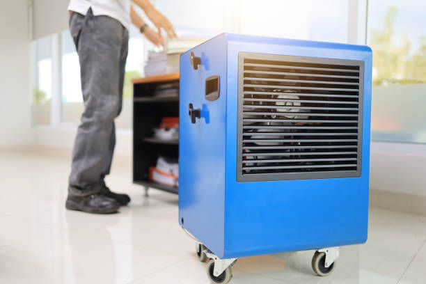 Best Residential Mold Inspection & Testing  in Redwood Falls, MN