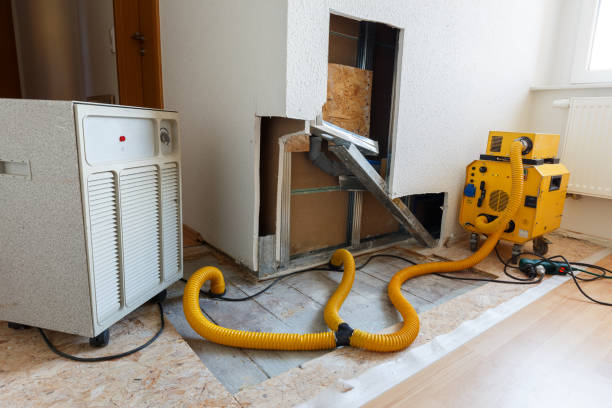 Mold Documentation for Insurance Claims in Redwood Falls, MN