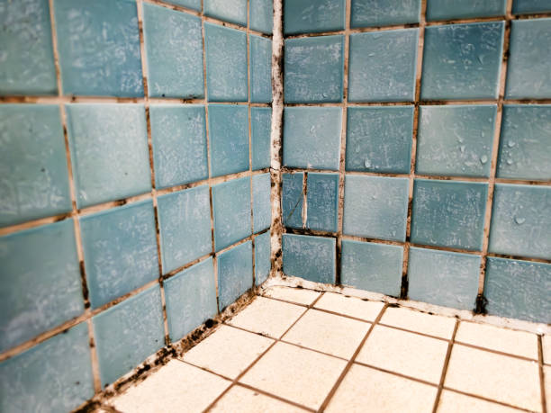 Best Air Quality Testing for Mold Spores  in Redwood Falls, MN