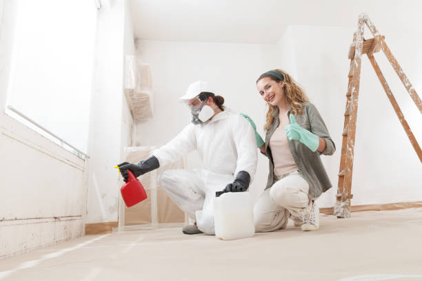 Best Mold Prevention Services  in Redwood Falls, MN